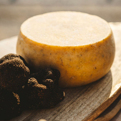 Formatge de cabra trufat – TRUFALET