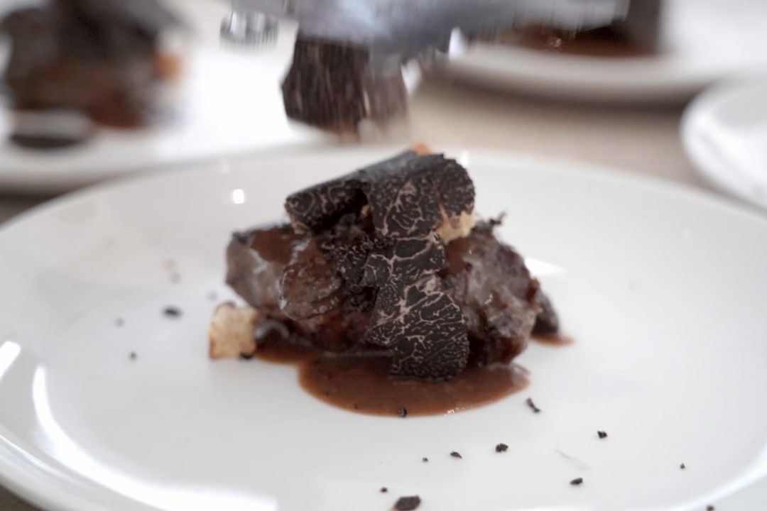 Experiencia VIP Trufada en Laumont: Recolección de Trufas y Menú Degustación Exclusivo