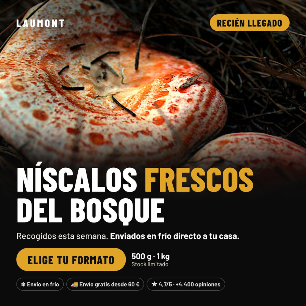 Níscalo