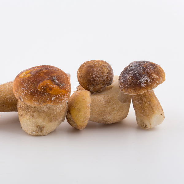 Ceps sencers congelats