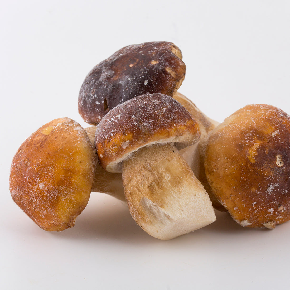 Boletus enteros congelados 1Kg