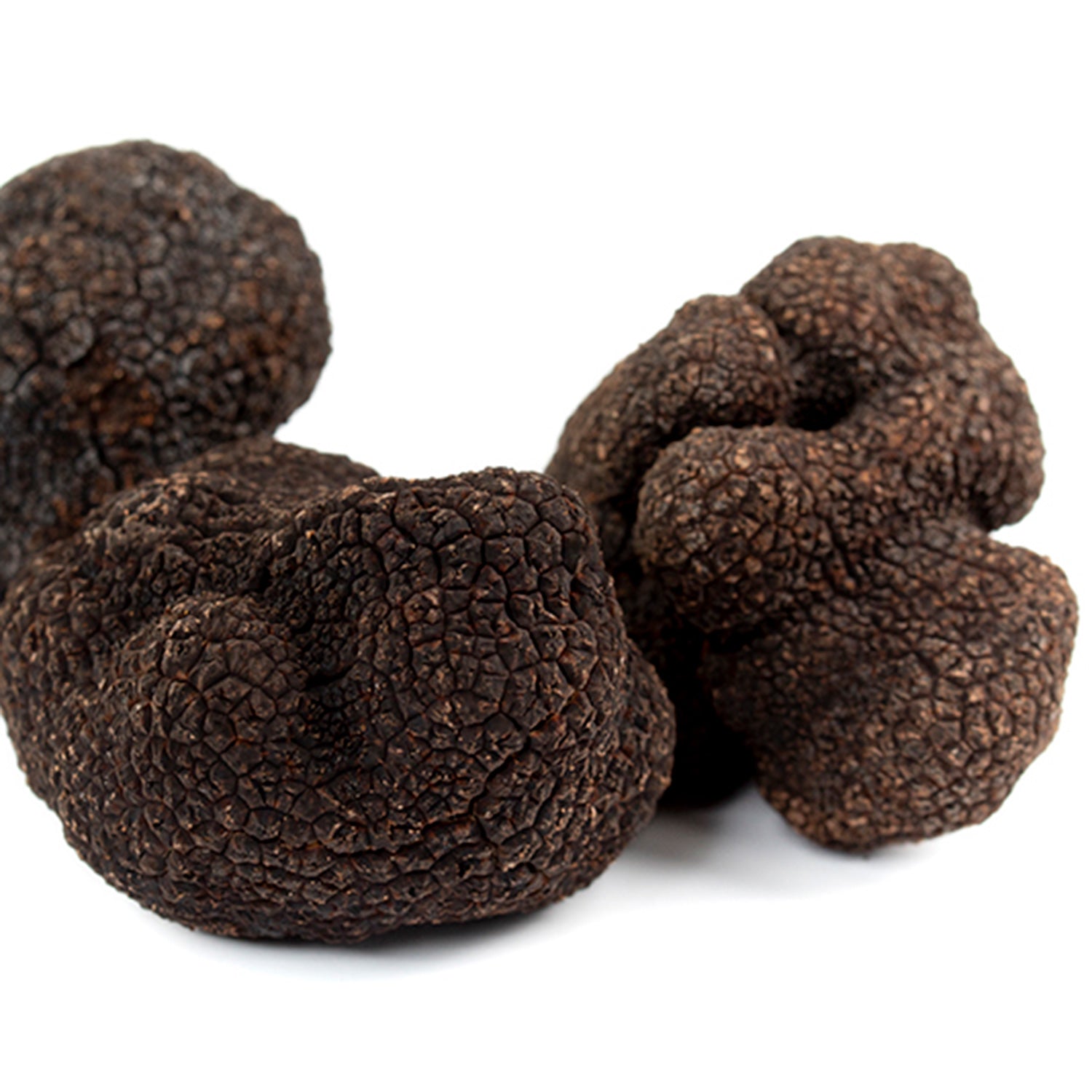 Tòfona Negra (Tuber Melanosporum)