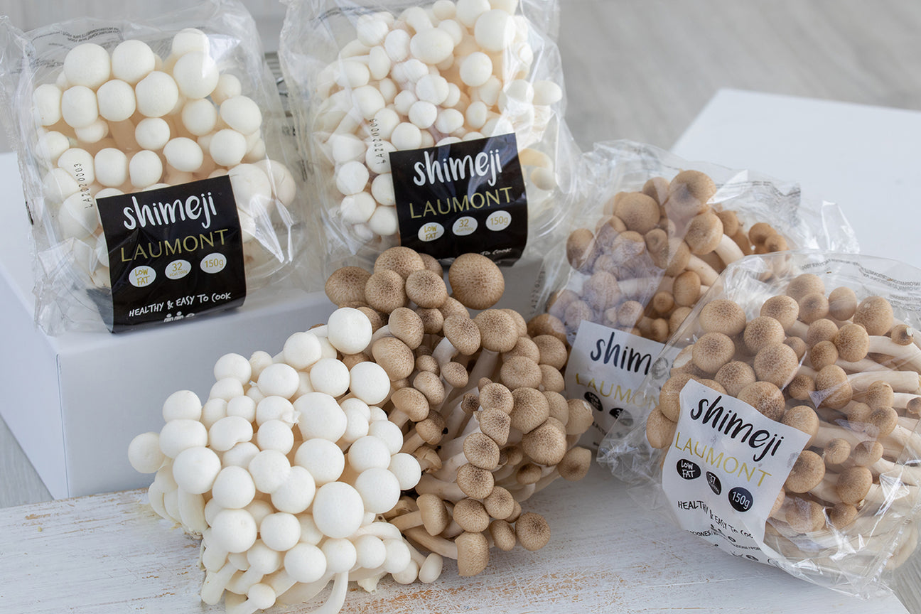 Comprar Shimeji Bolets de cultiu exòtics Particulars LAUMONT SHOP