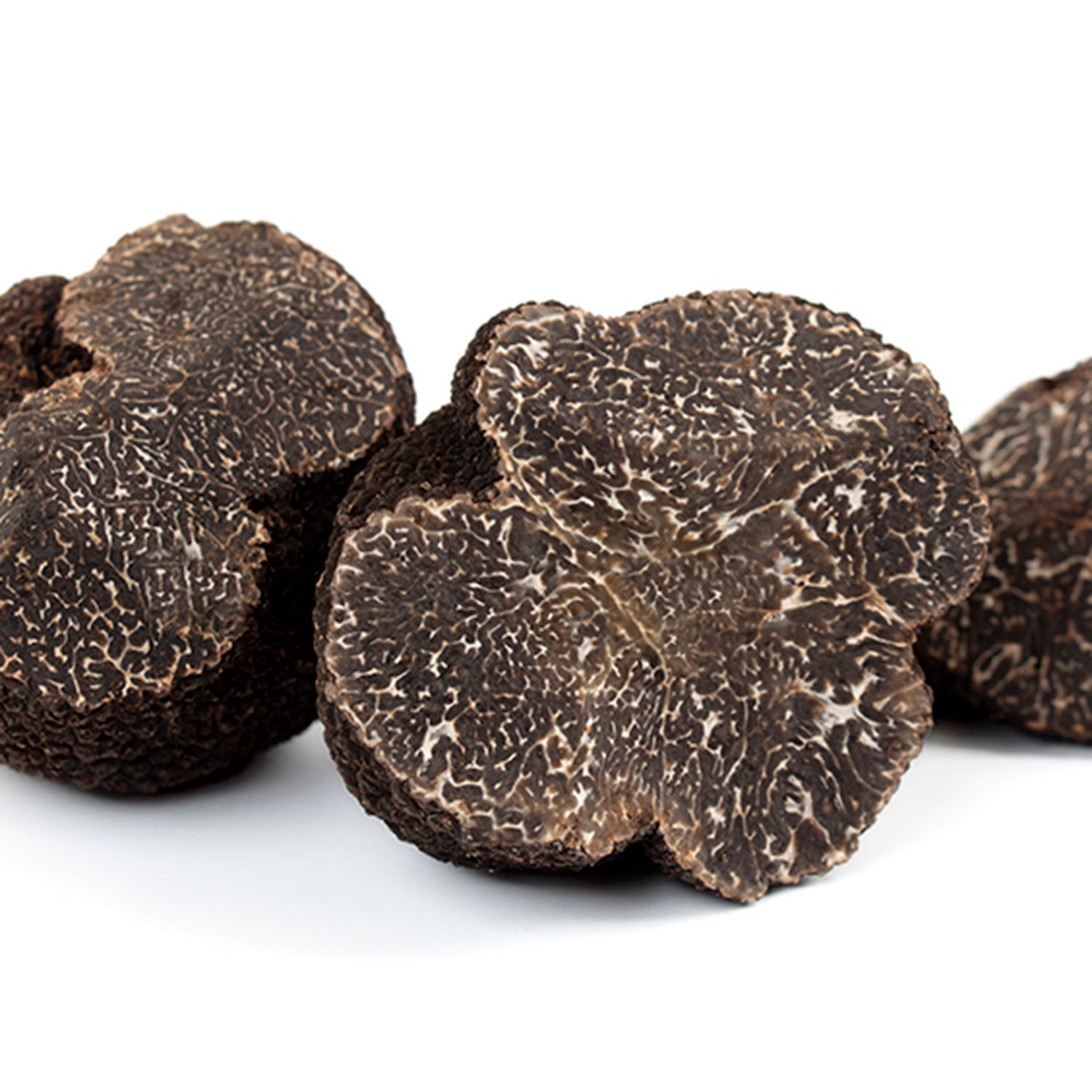 Tòfona Negra (Tuber Melanosporum)