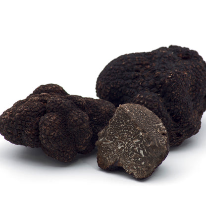 Tòfona Negra (Tuber Melanosporum)