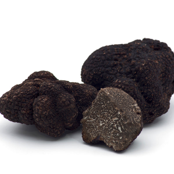 Trufa negra fresca, (Tuber melanosporum)