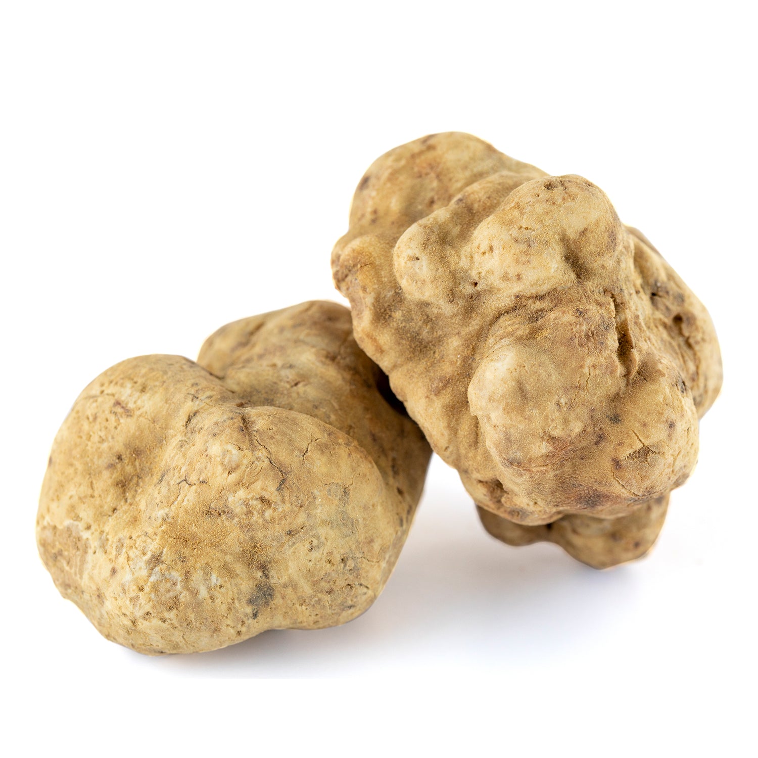 Trufa Blanca