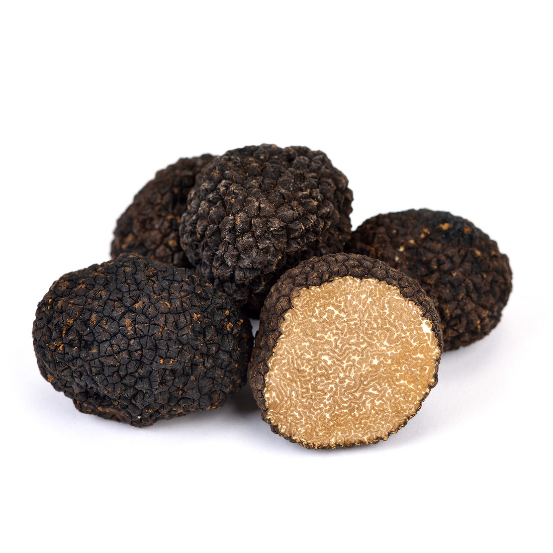 Tòfona de Tardor (Tuber Uncinatum)
