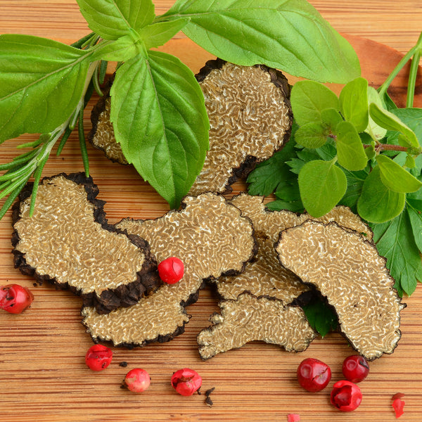 Tòfona de Tardor (Tuber Uncinatum)