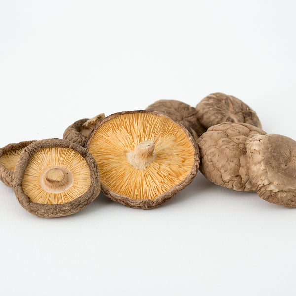 Shiitake